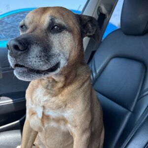 Meet your Posher, Matt